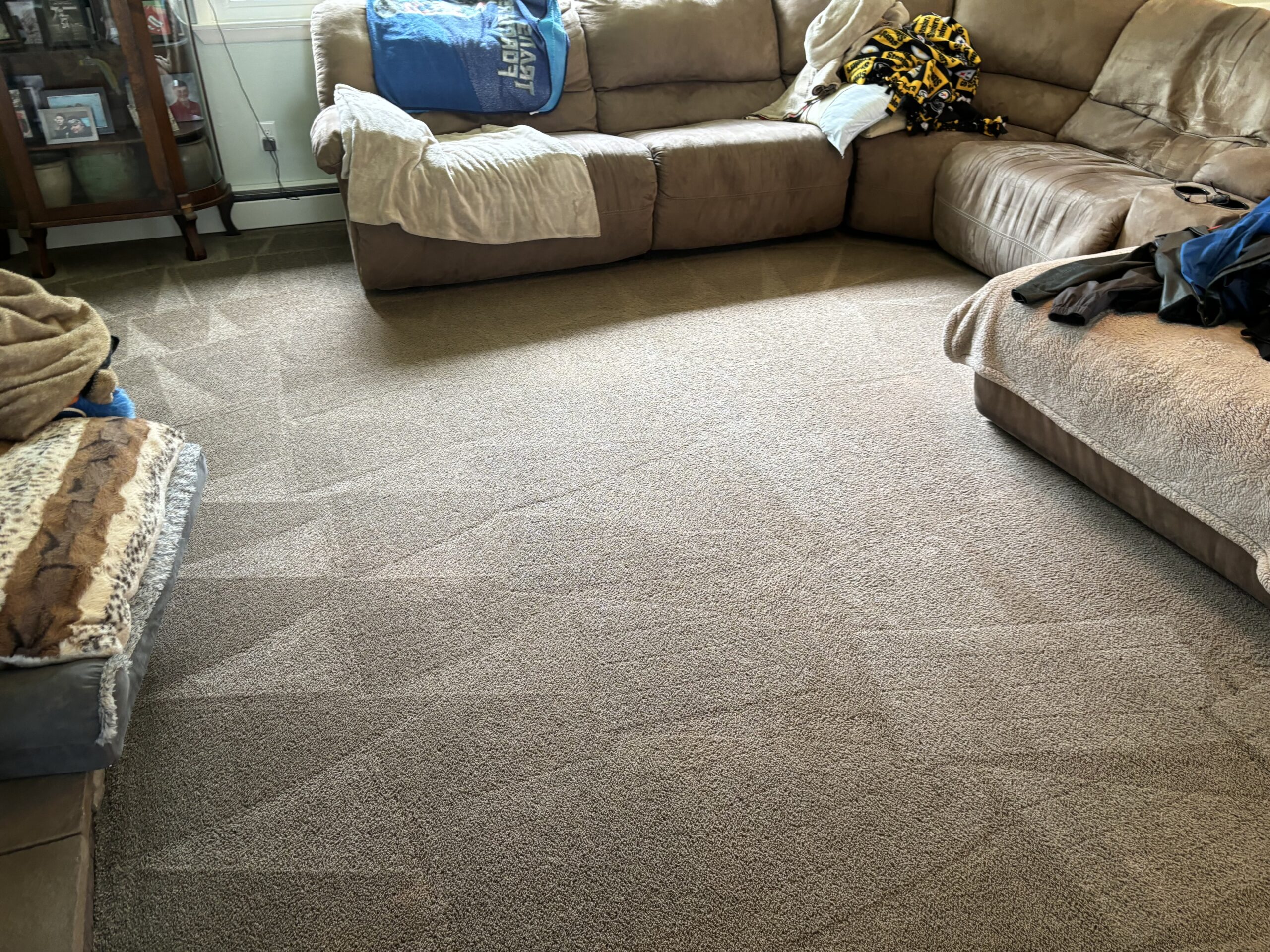 Images of high-quality or eco-friendly cleaning products that are used in residential cleaning.
